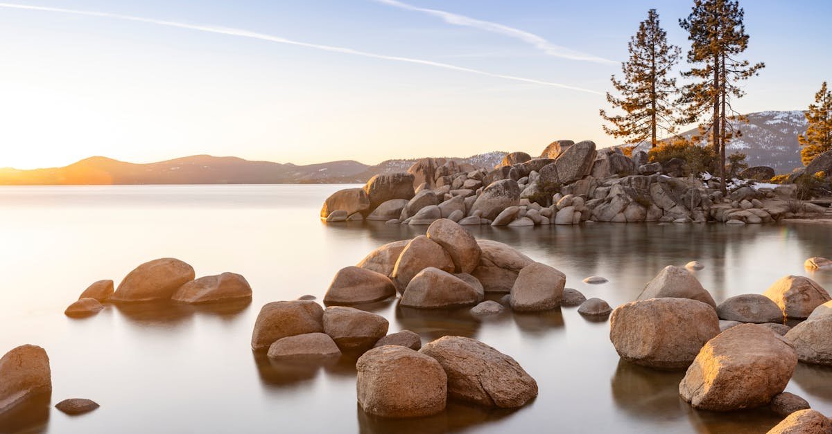 LLC California Secretary of State: Essential Guide to Filing and Compliance